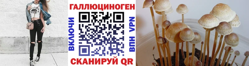 Галлюциногенные грибы мухоморы  OMG зеркало  Верхотурье 